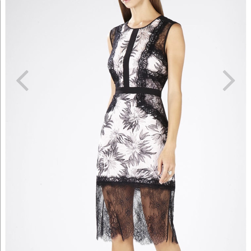 BCBG Shawna lace dress in blush and black